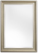 Klassieke Spiegel 74x134 cm Zilver - Chloe