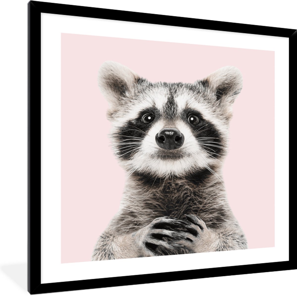 FrameYourWall Fotolijst met poster 40x40 - Wasbeer - Bosdieren - Roze - Portret - Fotokader van hout - Kaders en lijsten - Houten fotolijstje - Wissellijst voor muurposter - Picture en photo frame - Posterlijst - Fotohouder Wasbeer - 40x40 cm