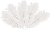 Chaks Struisvogelveren/sierveren - 5x - creme wit - 20-25 cm - decoratie/hobbymateriaal
