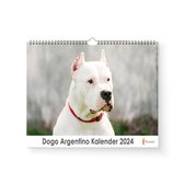 Kalender 2024 - Dogo Argentino - 35x24cm - 300gms - Spiraalgebonden - Inclusief ophanghaak