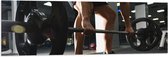 Vlag - Mens - Spieren - Schoenen - Oefening - Sporten - Fitness - Sportschool - Gewichten - 120x40 cm Foto op Polyester Vlag