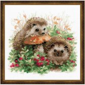 Riolis Hedgehogs in Lingonberries 1469