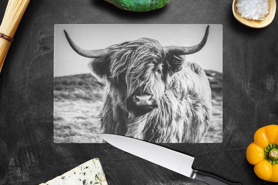 Planche à découper en Verres - 28x20 - Scottish Highlander - Nature - Vache - Zwart - Wit - Planches à découper en Glas