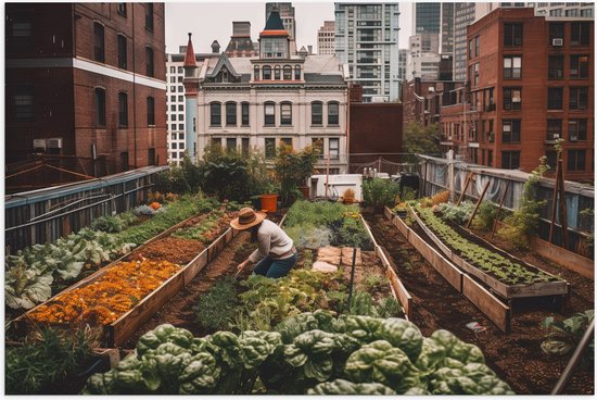 Poster (Mat) - Balkon - Moestuin - Planten - 60x40 cm Foto op Posterpapier met een Matte look