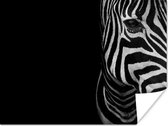 Poster Dieren - Zebra - Zwart - Wit - 80x60 cm