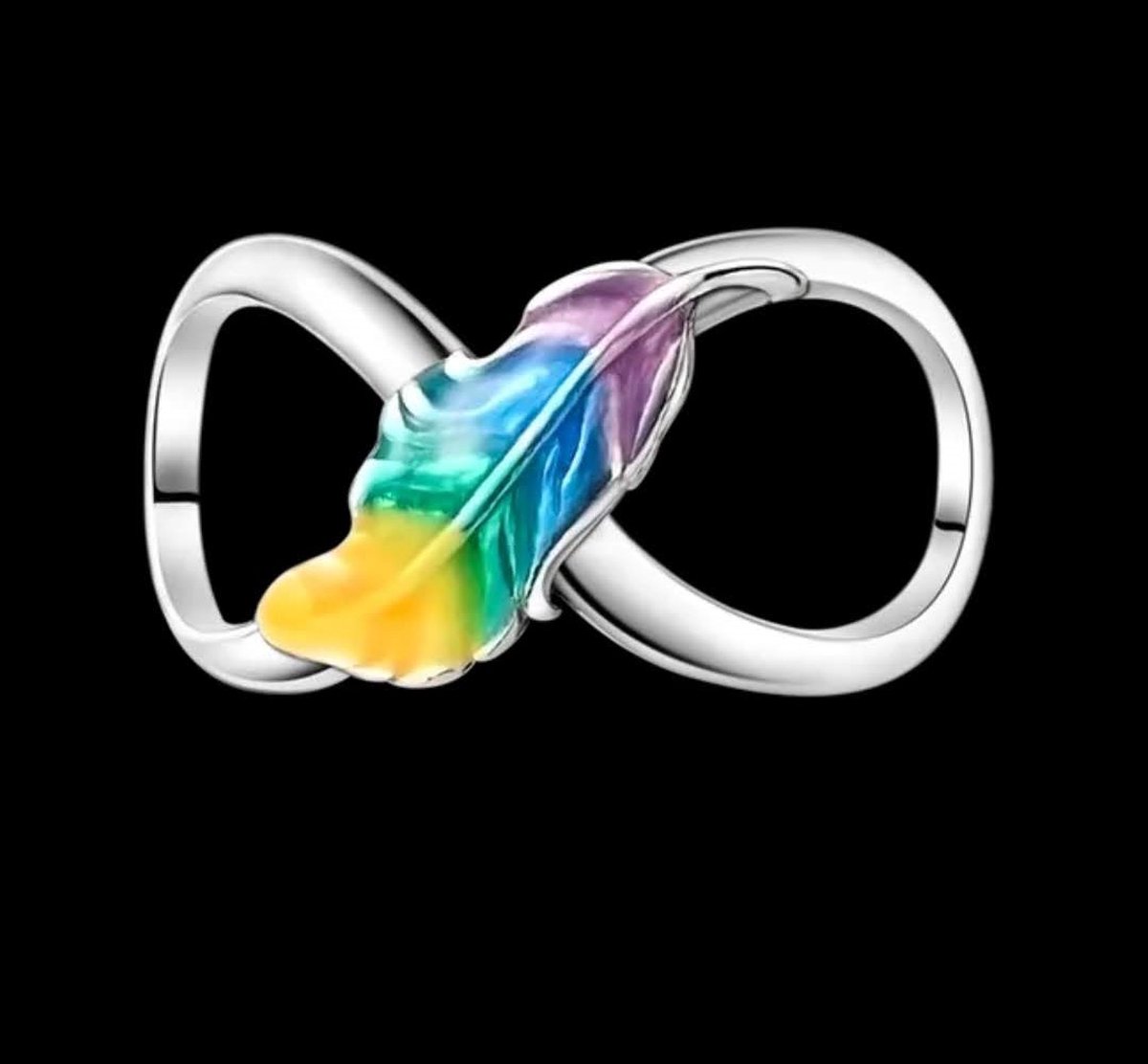 Bedel infinity teken met regenboog veer