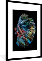 Fotolijst incl. Poster - The Betta Fish - 60x90 cm - Posterlijst