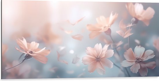 Dibond - Licht Roze Cosmea Bloemen met Wazige Blauwe Achtergrond - 100x50 cm Foto op Aluminium (Met Ophangsysteem)