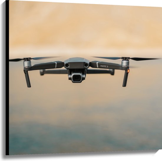 Canvas - Drone Vliegend boven het Meer - 100x100 cm Foto op Canvas Schilderij (Wanddecoratie op Canvas)