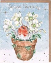 Lot de 8 cartes de Noël Wrendale – Lot de cartes de Noël Robin « Season's Tweetings »