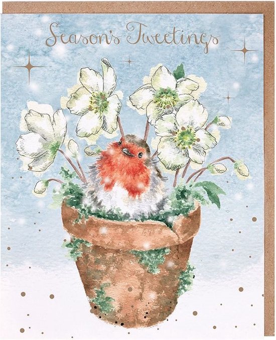 Wrendale Kerstkaarten Notepack - 8 stuks - 'Season's Tweetings' Robin Christmas Card Pack