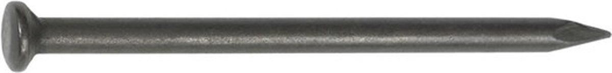 Ivana Nagel Staal Verzonken BombÃ© Kop 2.50x50mm 1kg