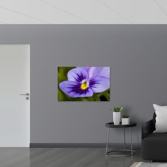 Muursticker - Close Up van Paars Viooltje met Fel Geel Midden - Bloemen - 105x70 cm Foto op Muursticker