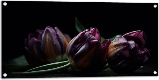 Tuinposter – Paarse Tulpen in het Donker - Bloemen - 100x50 cm Foto op Tuinposter (wanddecoratie voor buiten en binnen)