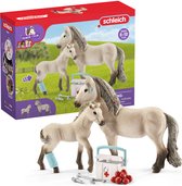 schleich HORSE CLUB - Hannahs verbanddoos - Speelfigurenset - Kinderspeelgoed voor Jongens en Meisjes - 5 tot 12 jaar - 7 Onderdelen
