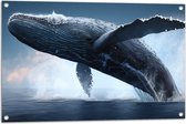 Tuinposter – Bultrug walvis komt boven het zeewater uit met veel spetters om hem heen - 90x60 cm Foto op Tuinposter (wanddecoratie voor buiten en binnen)