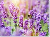 Tuindecoratie lavendel - Bloemen - Natuur - 120x90 cm - Tuin - Schutting decoratie - Tuinposter - Schuttingdoek - Buitenposter - Tuinversiering - Balkon decoratie - Tuinschilderij - Tuindoek - Buitenposter