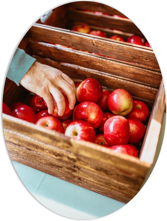 PVC Schuimplaat Ovaal - Krat - Fruit - Appels - Hand - Hout - 60x80 cm Foto op Ovaal (Met Ophangsysteem)