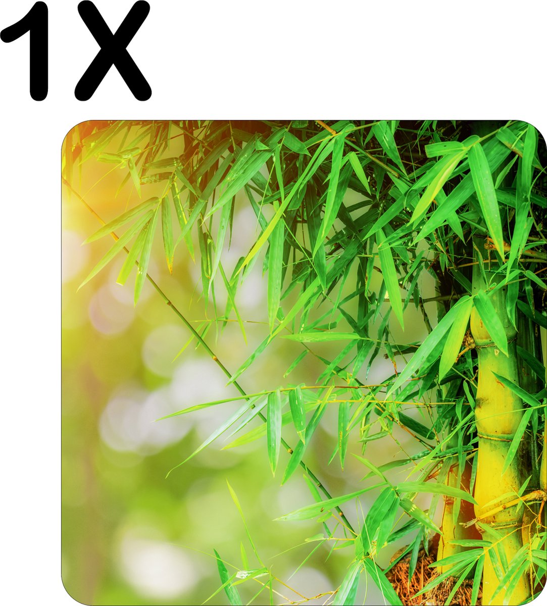 BWK Flexibele Placemat - Groene Bamboo - Set van 1 Placemats - 40x40 cm - PVC Doek - Afneembaar