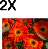 BWK Textiele Placemat - Rode Kleurrijke Bloemen in de Natuur - Set van 2 Placemats - 45x30 cm - Polyester Stof - Afneembaar
