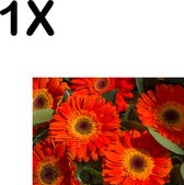 BWK Textiele Placemat - Rode Kleurrijke Bloemen in de Natuur - Set van 1 Placemats - 35x25 cm - Polyester Stof - Afneembaar