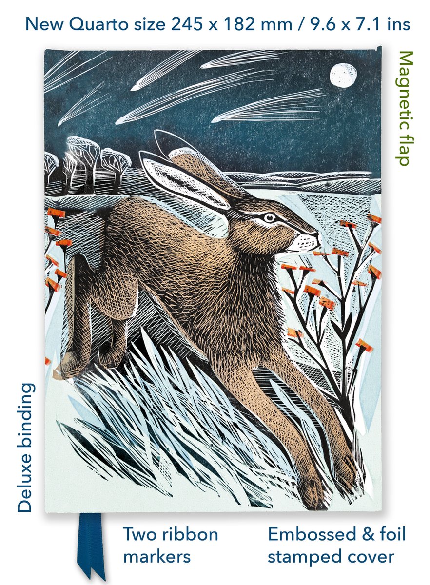 Angela Harding: Shooting Stars (foiled Quarto Journal)