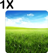 BWK Flexibele Placemat - Groen Gras met de Perfecte Blauwe Lucht - Set van 1 Placemats - 40x40 cm - PVC Doek - Afneembaar