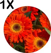 BWK Luxe Ronde Placemat - Rode Kleurrijke Bloemen in de Natuur - Set van 1 Placemats - 50x50 cm - 2 mm dik Vinyl - Anti Slip - Afneembaar