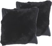 EHNAR - Sierkussen set van 2 - Zwart - 42 x 42 cm - Polyester