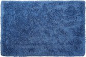 CIDE - Shaggy vloerkleed - Blauw - 200 x 300 cm - Polyester