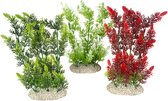 Aqua Della - Aquariumdecoratie - Vissen - Plant Elodea Densa L - Height 25cm Gemengde Kleuren - 1st