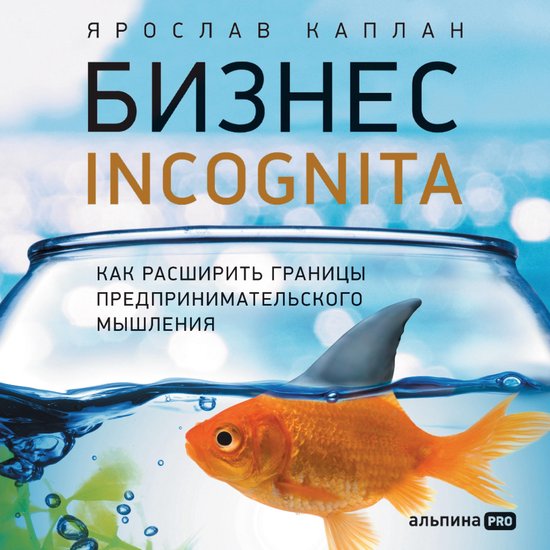 Бизнес incognita: Как расширить грани ... - cover