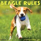 Beagle Rules Kalender 2024