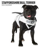 Staffordshire Bull Terrier Kalender 2024 Modern