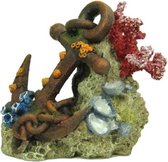 Blue Belle Pacific Coral With Anchor 14 Cm