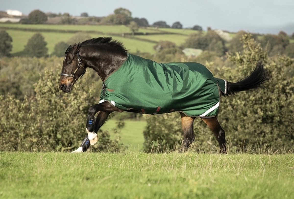 Horseware Rambo Original met leg arches 100grs - maat 140/191 - green/red
