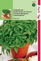 2 stuks - Hortitops - Pot Basilicum Bascuro Donkergroene