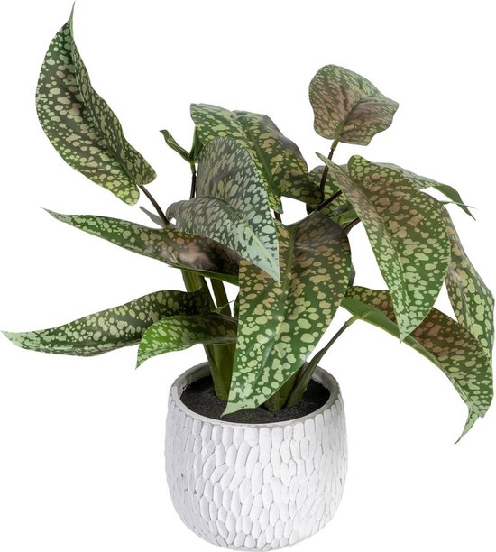 plant décorative Vert PVC 52 x 44 x 44 cm