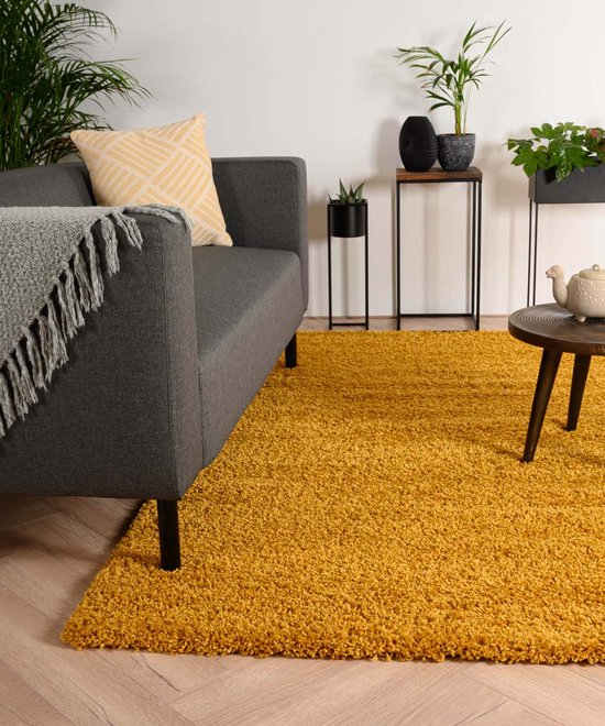 tapis shaggy 120x170 - Mr.Bricolage