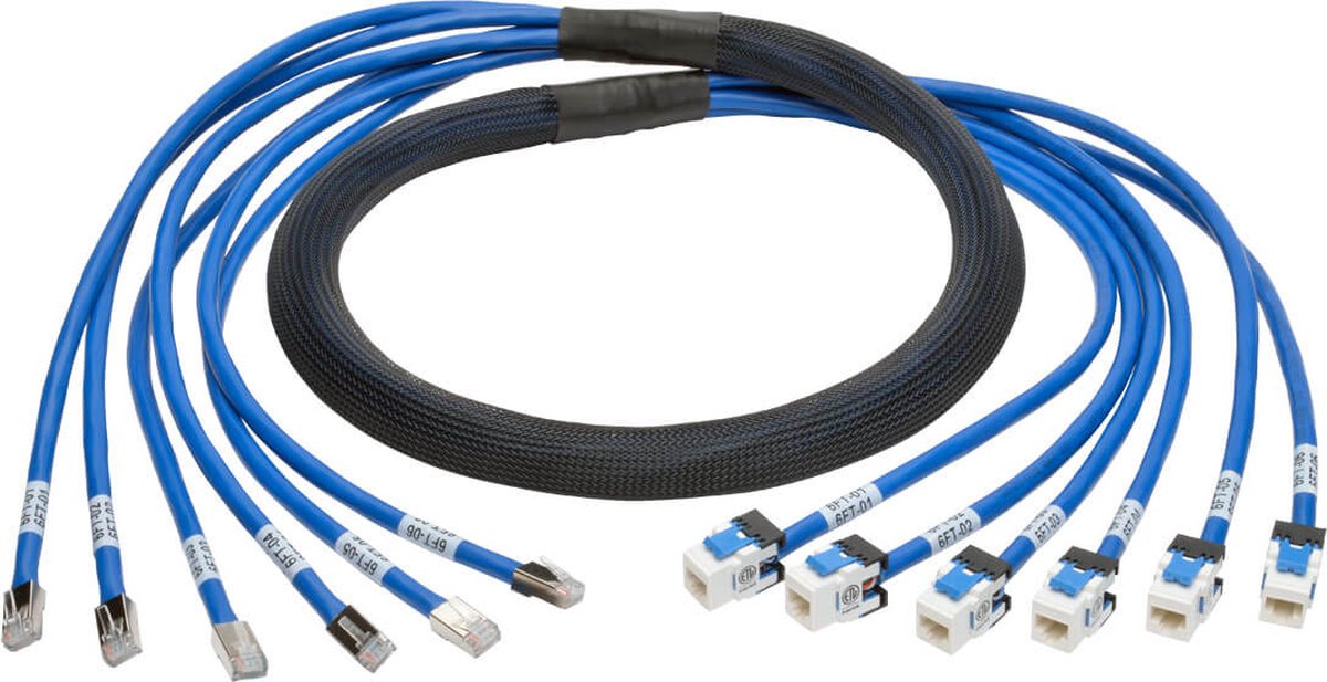 Tripp Lite Cat6/Cat6a,6 ft netwerkkabel 1,83 m Blauw