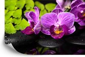 Fotobehang Orchidee Spa - Vliesbehang - 368 x 254 cm