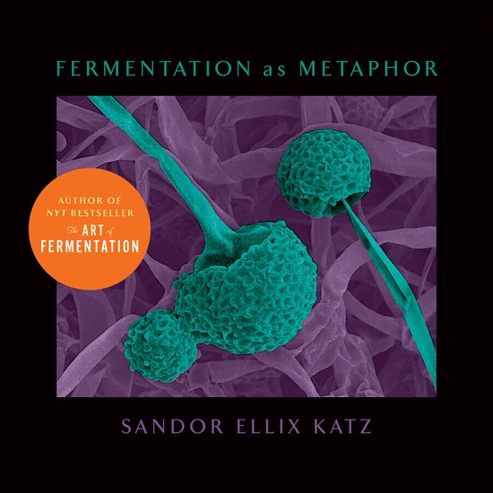 Fermentation as Metaphor: Follow Up to the Bestselling "the  ... - cover