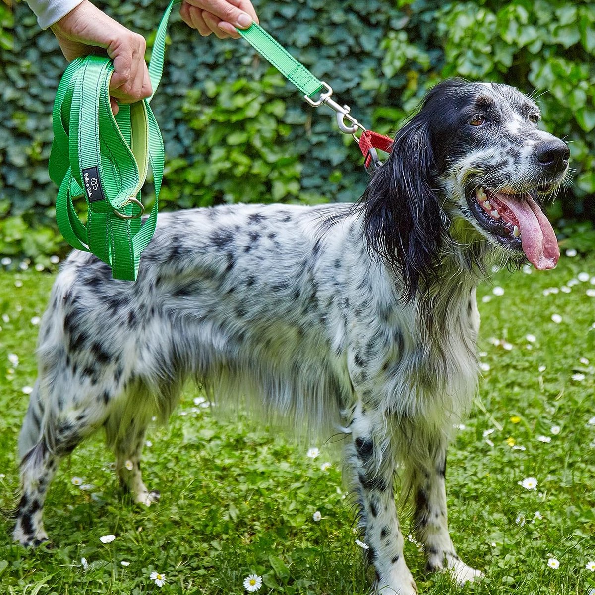 Monkimau Professionele dubbele lijn van echt zacht rundleer voor grote honden, rond (1,2 x 200