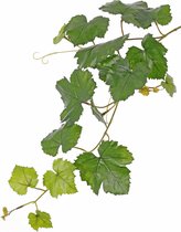 Druiven tak - kunstplant - UV-bestendig - 62cm - 18 bladeren
