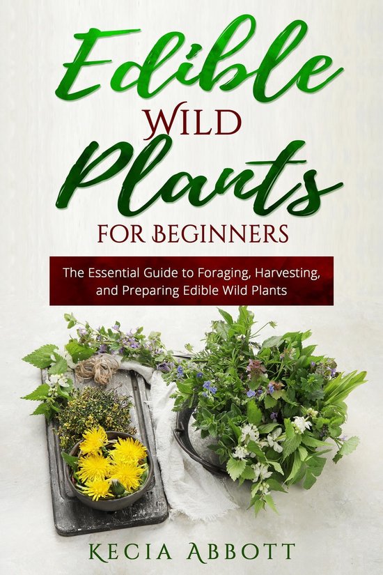 EDIBLE WILD PLANTS FOR BEGINNERS (ebook), Kecia Abbott | 9781088223567 ...