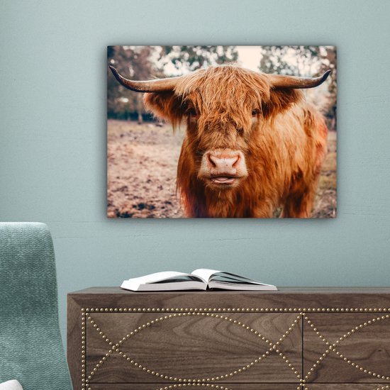 Tableau sur toile - Highlander - Animaux - Vache - Peintures salon - Décoration chambre - Toile toile - 40x30 cm
