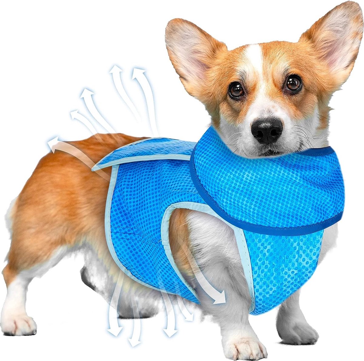 Bol.com bandana voor honden, huisdieren, zomer, hond, koeljas, ademende koelhalsband voor middelgrote honden, kleine, verstelbar... aanbieding