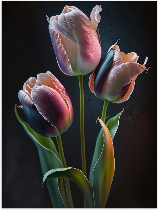Poster Glanzend – Roze tulpen voor een zwarte achtergrond - Bloemen - 60x80 cm Foto op Posterpapier met Glanzende Afwerking
