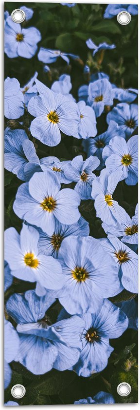 Tuinposter – Vergeet me nietjes bloemen blauw met gele binnenkant - 20x60 cm Foto op Tuinposter (wanddecoratie voor buiten en binnen)