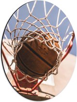 Dibond Ovaal - Basketbal in Basket - 30x40 cm Foto op Ovaal (Met Ophangsysteem)